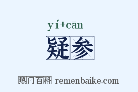 疑参是什么意思的图片